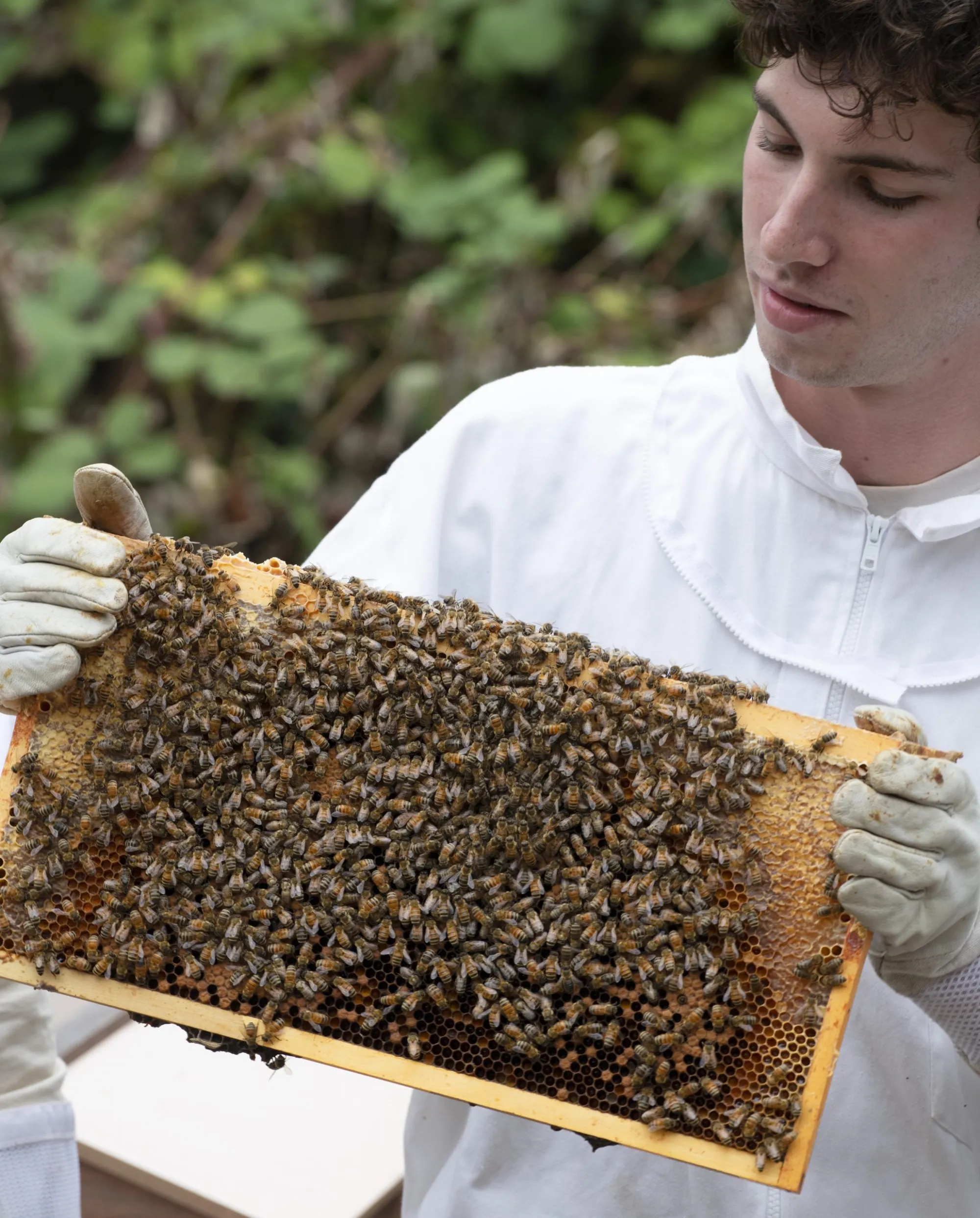 Swarmed featured on Palo Alto Online | Our Story & Mission