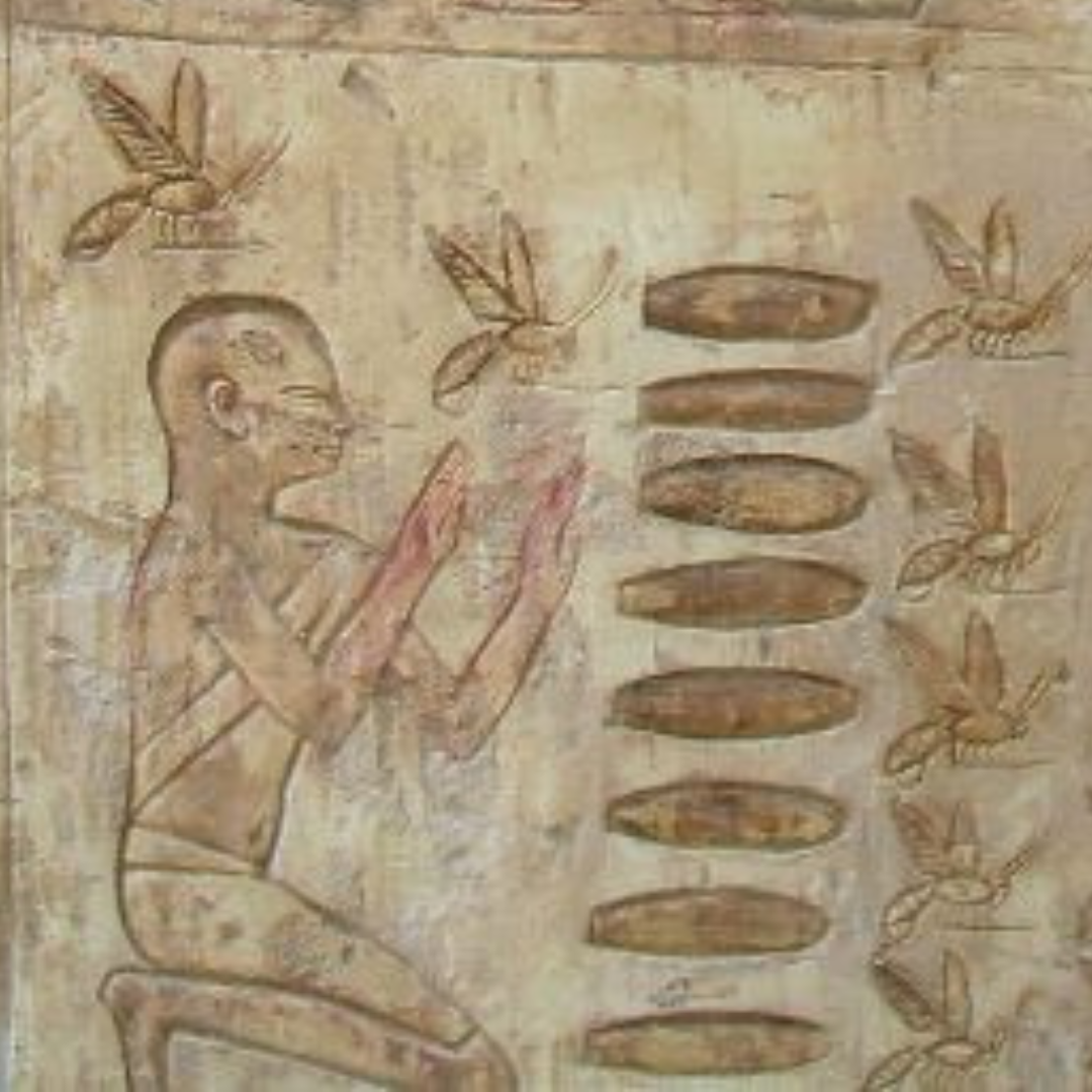 History of Honey Bee Swarms Through Time | Swarmed