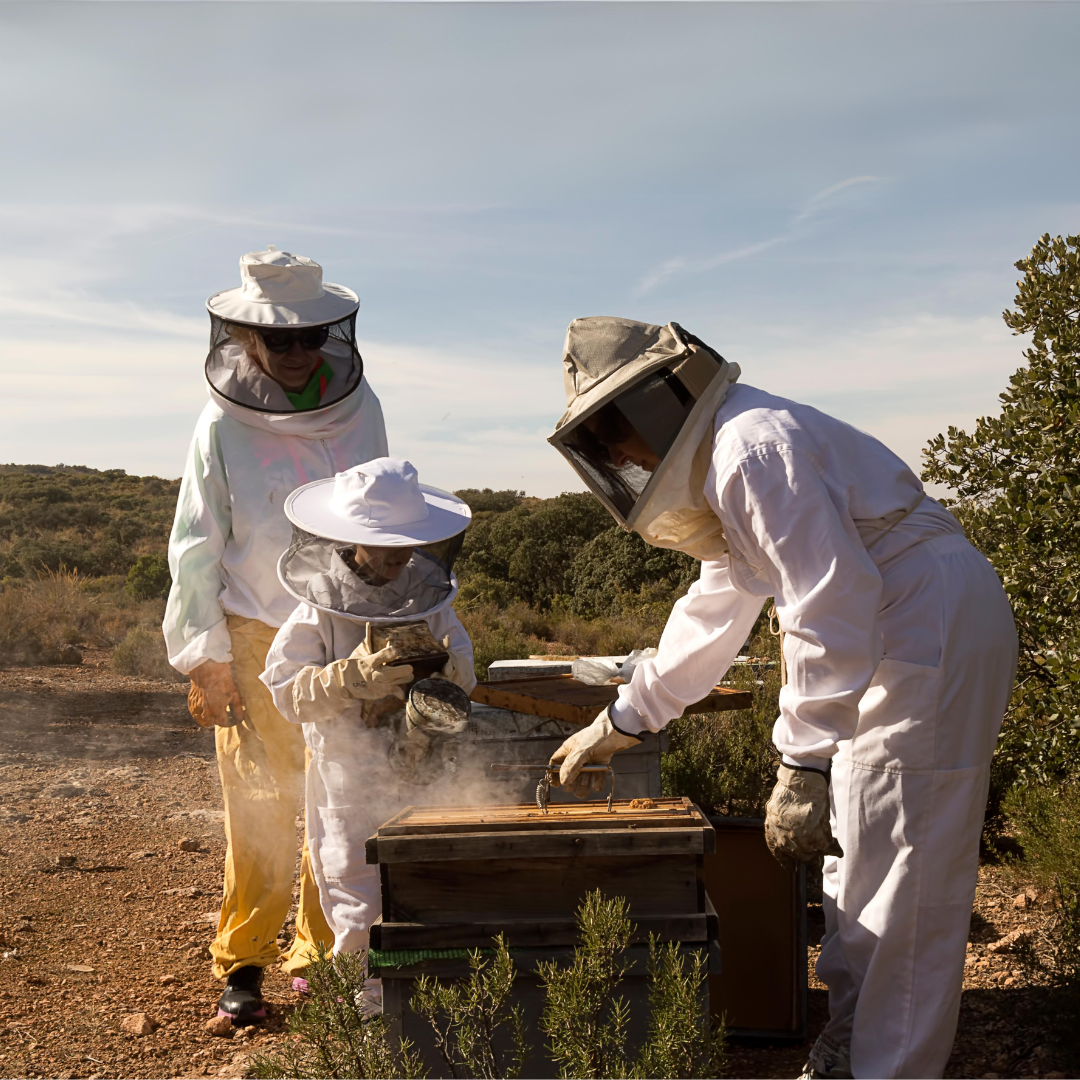 Get Actionable Swarm Reports for Your Apiary | Swarmed | Swarmed